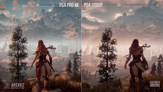 pro.png